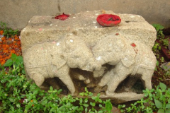 Iconography-Kamakhya-Hills-7